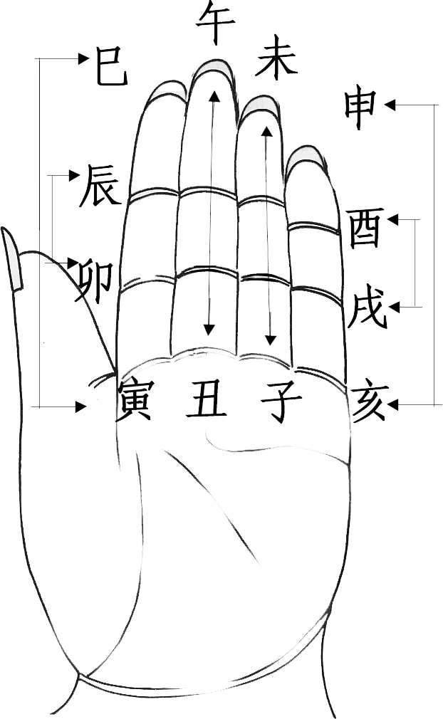 景观设计 风水知识   相冲者即为对冲不合之意,在手掌图和十二地支
