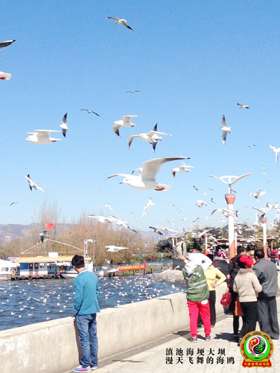 ���-����������-�н������о�Ժ